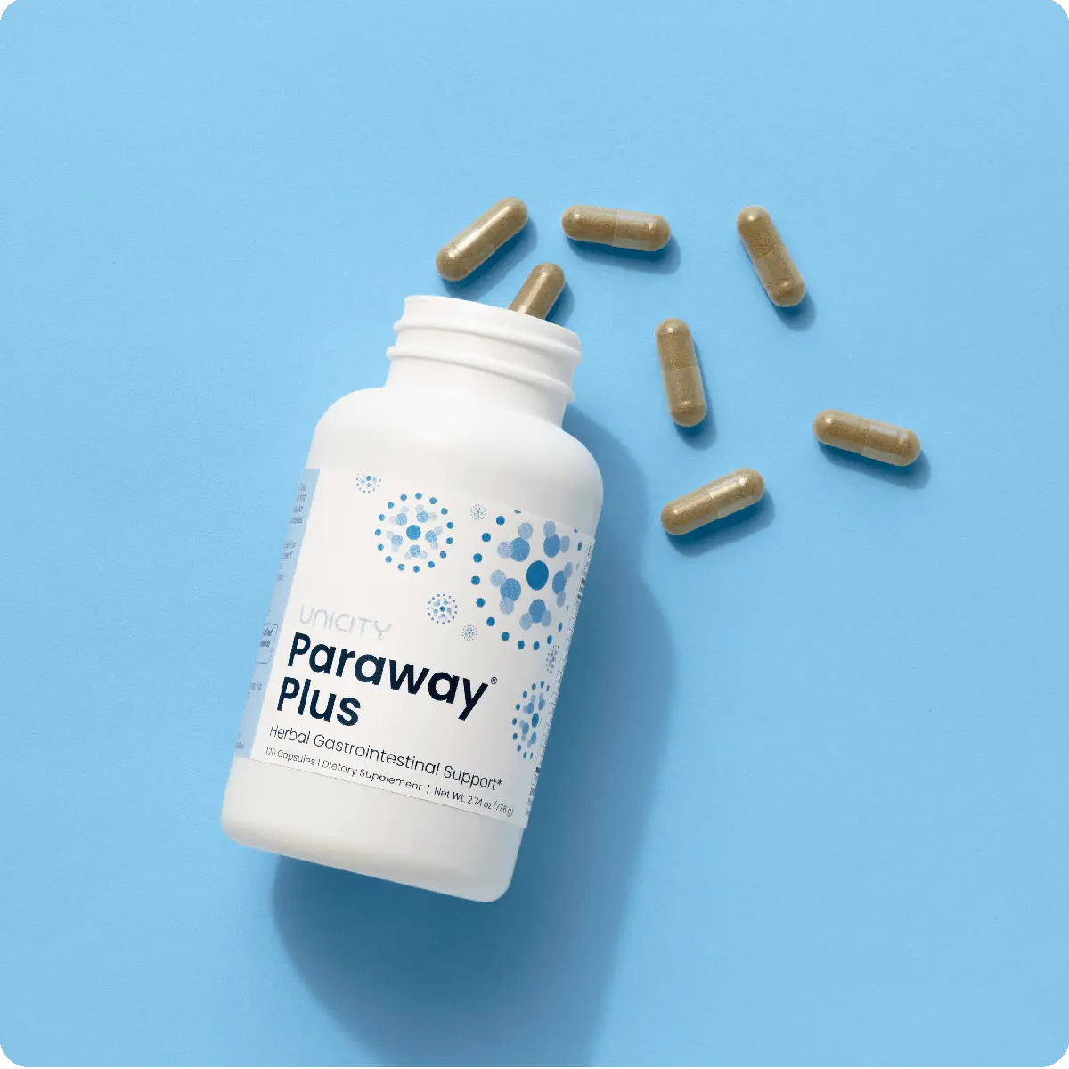 Paraway Plus