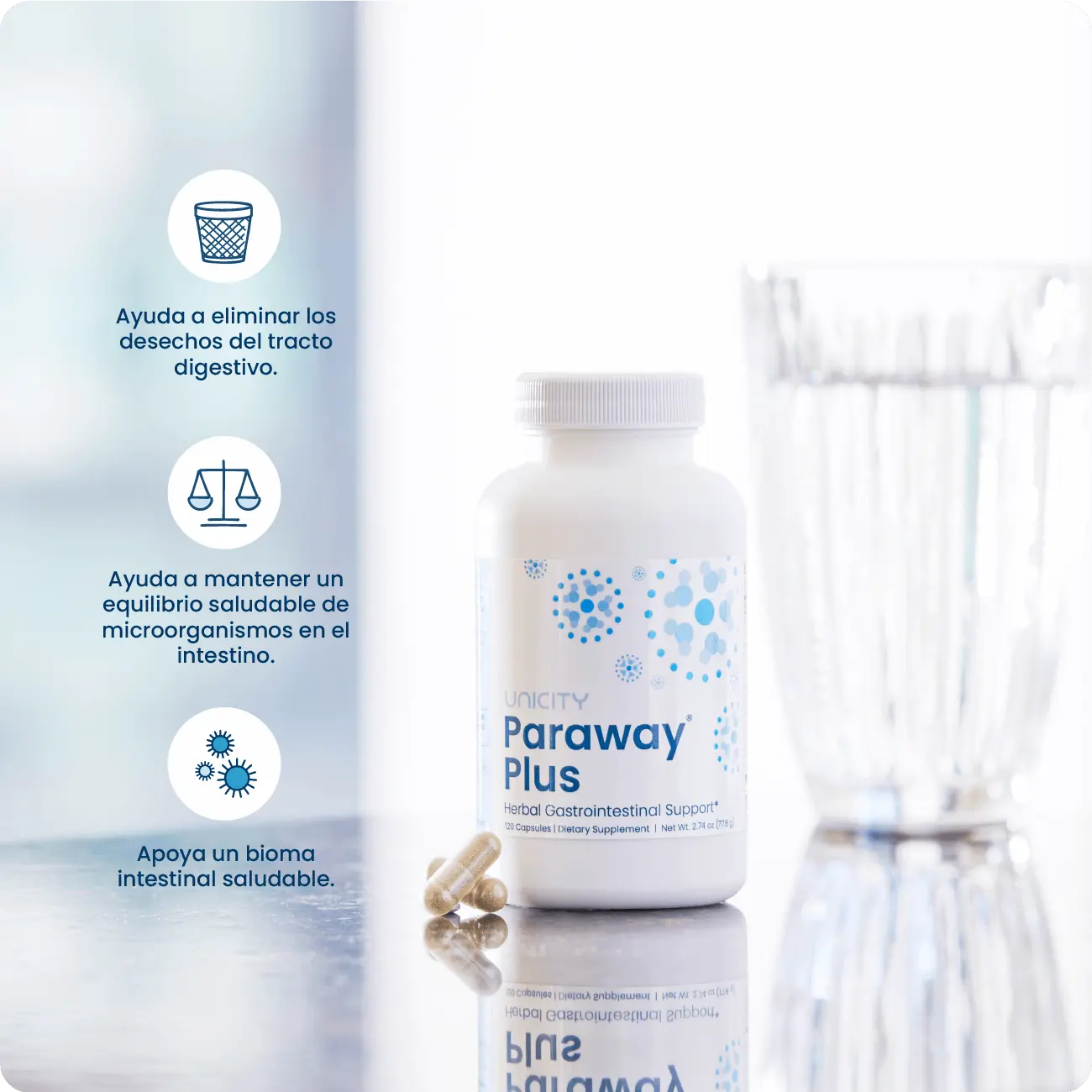 Paraway Plus